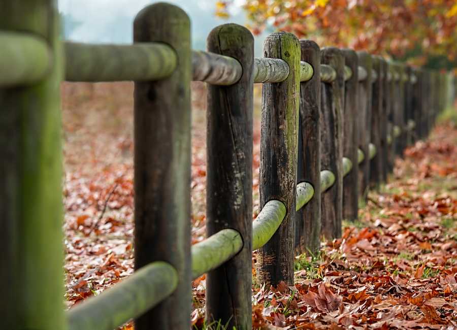 Old Wooden Fence