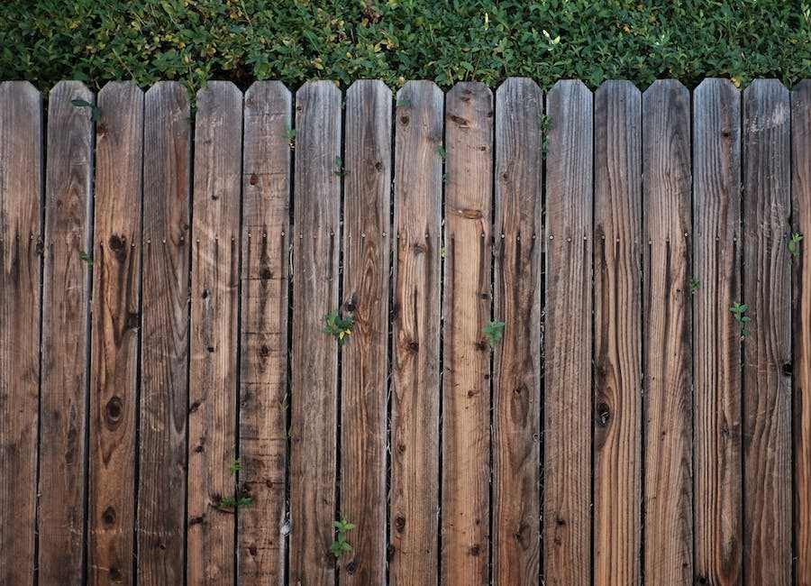 Wooden fence