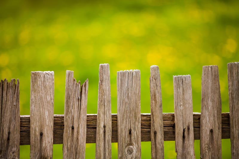 Regular Maintenance Throughout Spring: Professional Guidance from a Fence Contractor in Trumbull, CT​Regular Maintenance Throughout Spring: Professional Guidance from a Fence Contractor in Trumbull, CT​