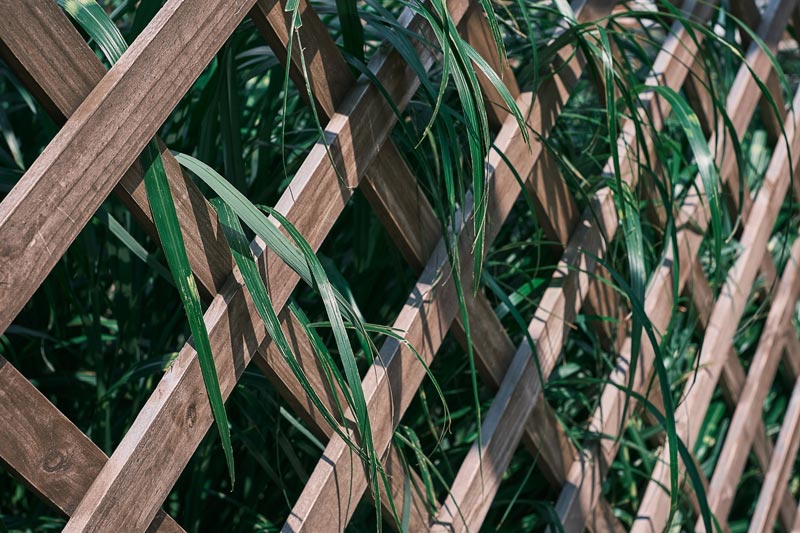 Discover the 7 Benefits of Vinyl Fences: Why Expert Fence Contractor in Trumbull, CT, Recommends Vinyl!