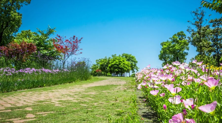 Creative Paving and Pathway Solutions: Expanding Visual Space - Trumbull Expert Landscapers