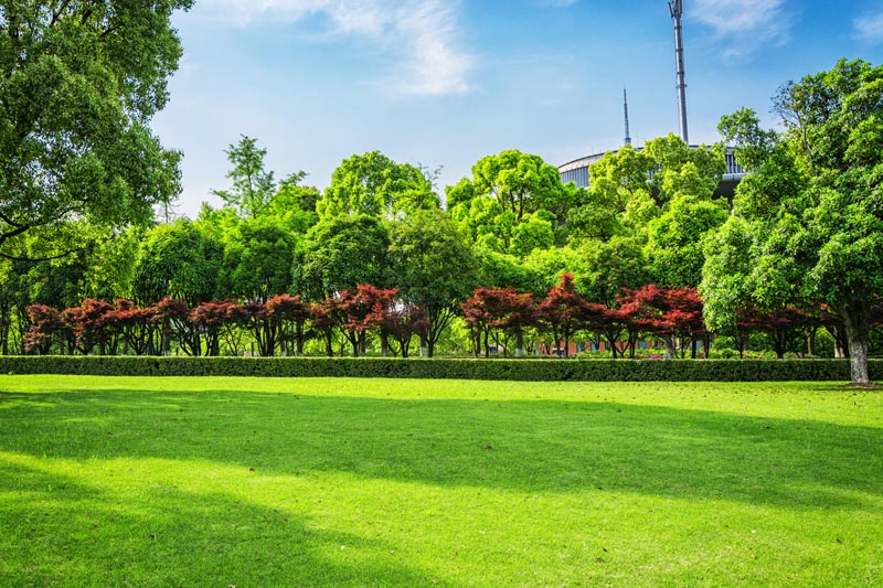 Hiring a Landscaper in Trumbull, CT​