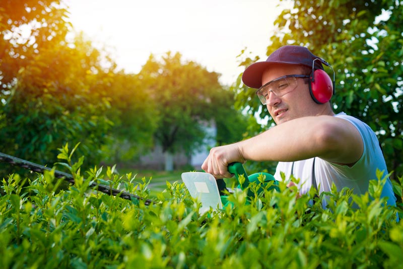 Lawn Care in the Spring: Nurturing a Healthy and Lush Lawn​