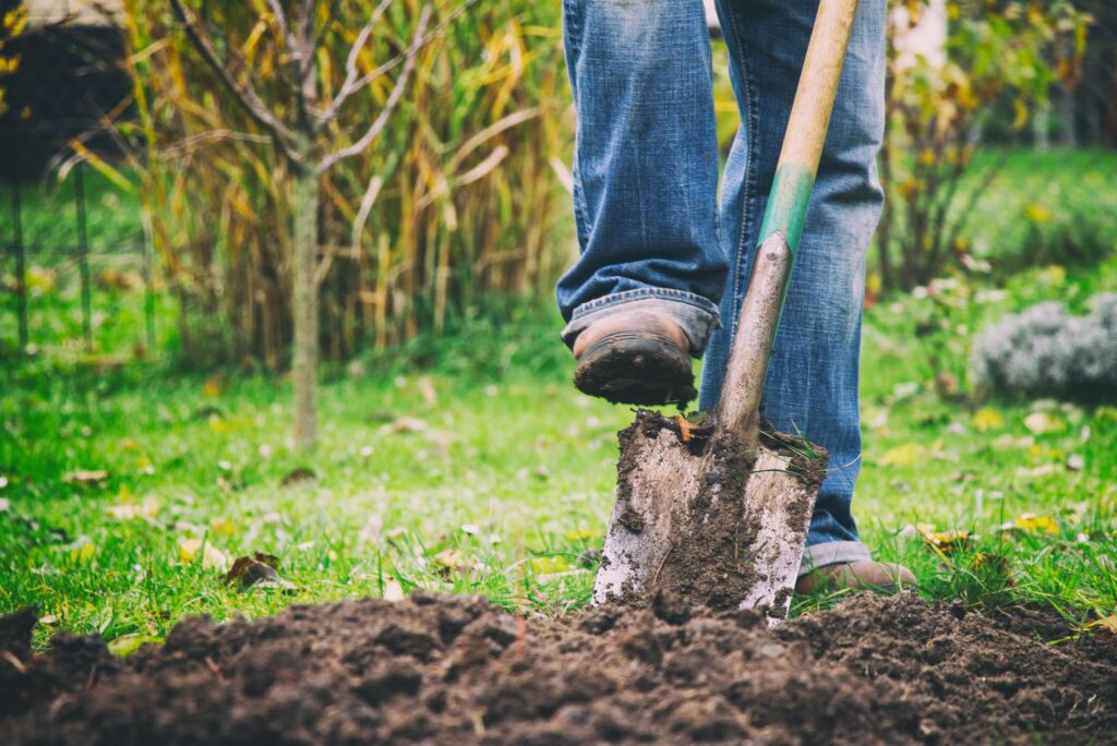 Optimize Soil Health